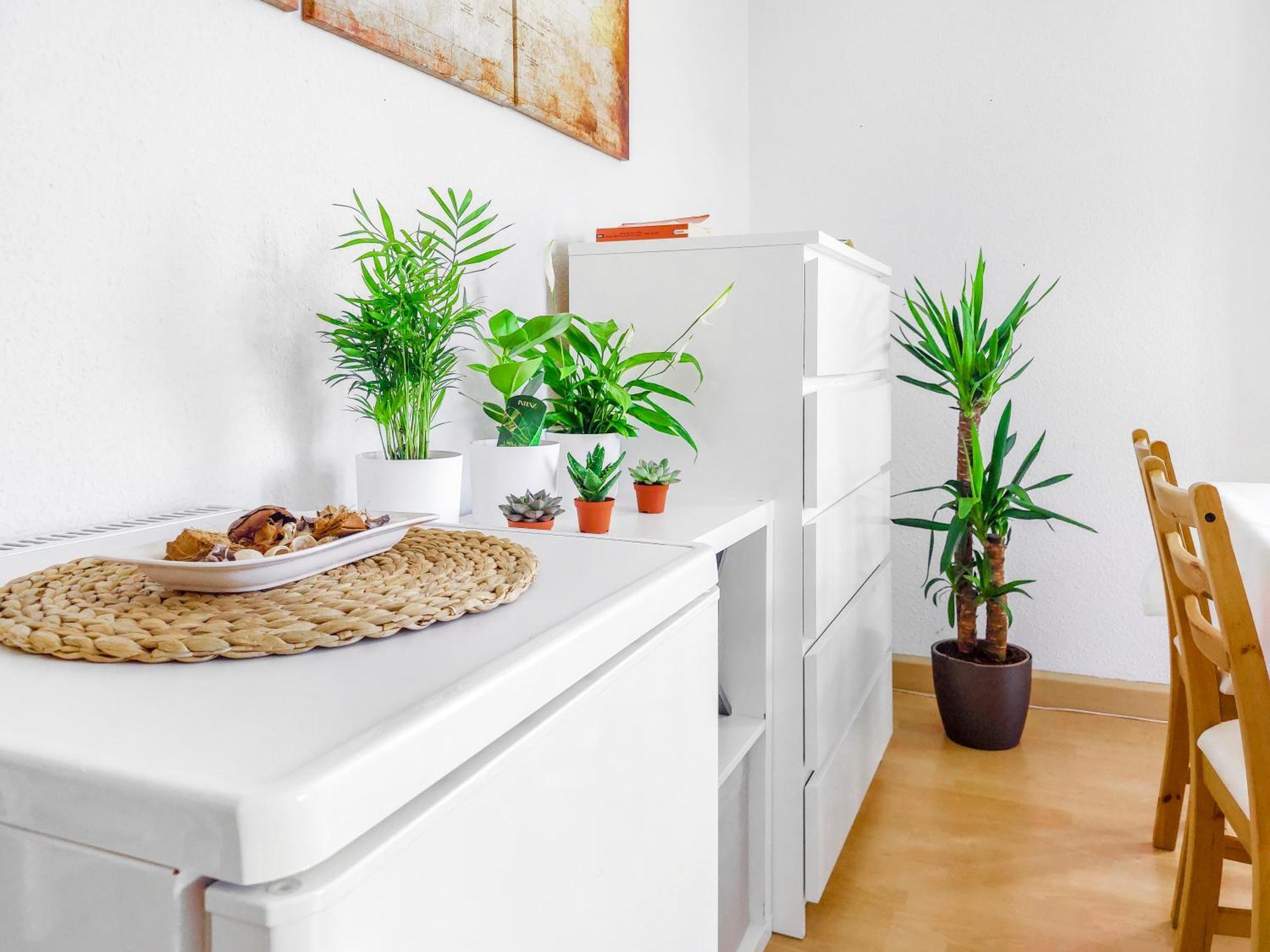 Bis 6 Personen - Helle, Ruhige Whg, 2 Baeder, Dd Neustadt, Top Lage Dresden Ngoại thất bức ảnh