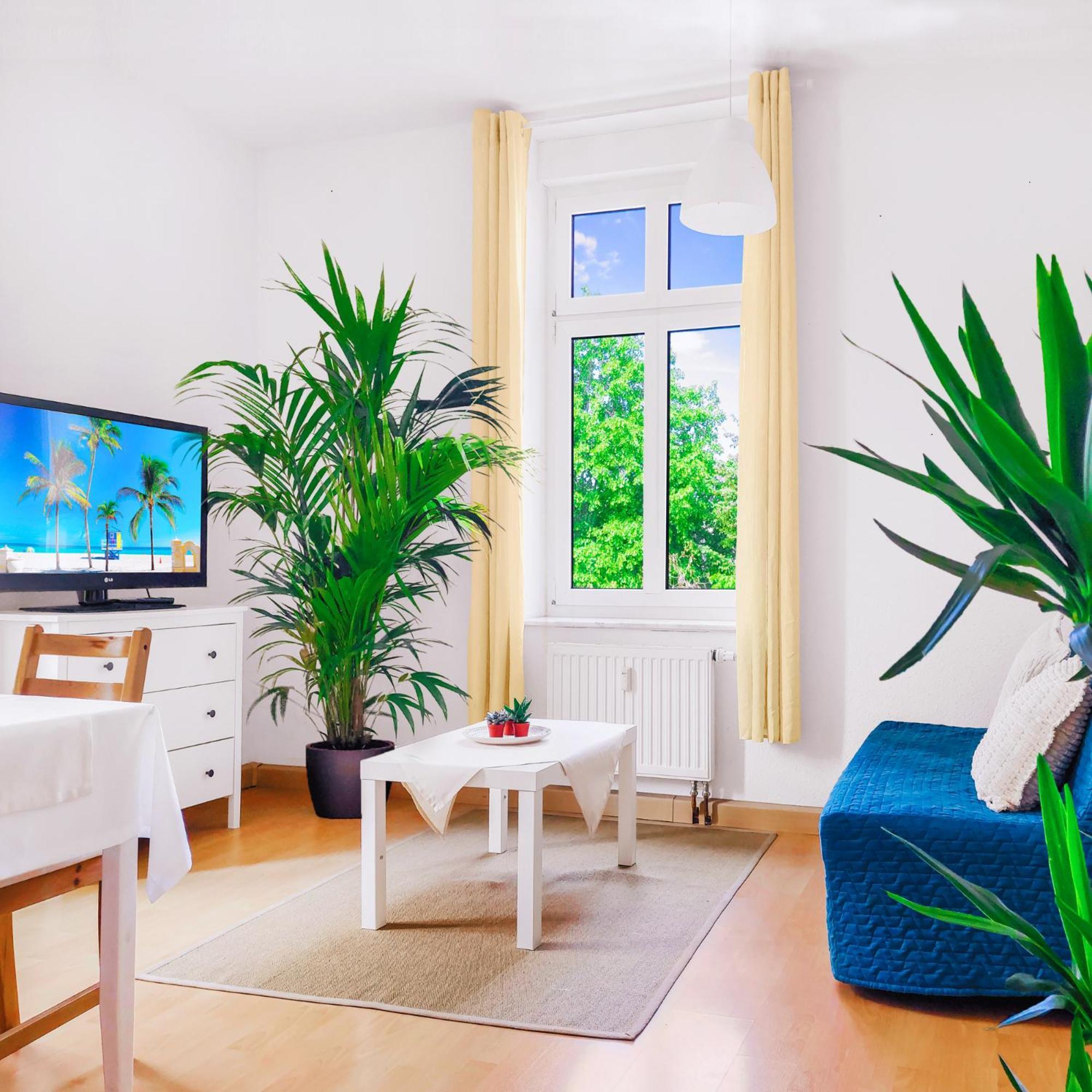 Bis 6 Personen - Helle, Ruhige Whg, 2 Baeder, Dd Neustadt, Top Lage Dresden Ngoại thất bức ảnh